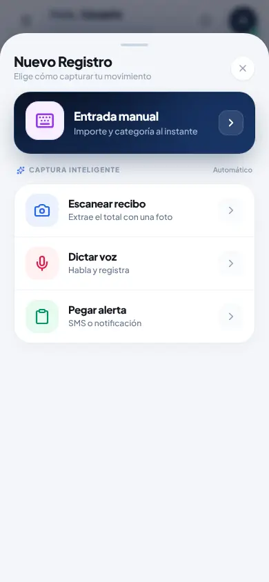 Nuevo registro: entrada manual, escanear recibo, dictar voz o pegar alerta